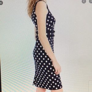 J Crew Navy Blue Polka Dot Sheath Sz 10